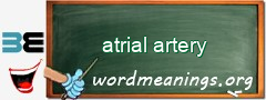 WordMeaning blackboard for atrial artery